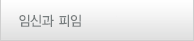 임신과 피임